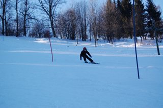 2017 Polanka