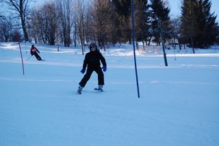 2017 Polanka