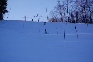 2017 Polanka