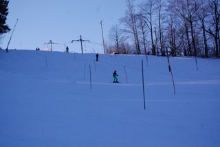 2017 Polanka