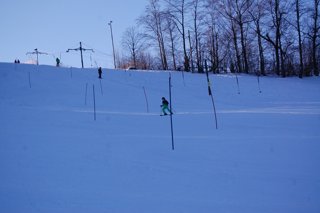 2017 Polanka