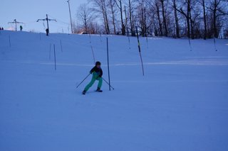 2017 Polanka