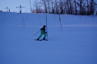 2017 Polanka