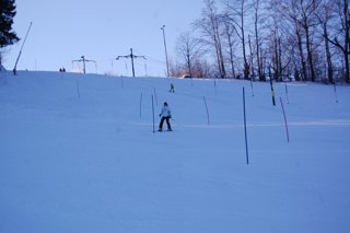2017 Polanka