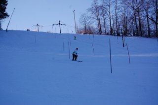 2017 Polanka