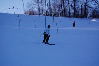 2017 Polanka