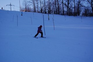 2017 Polanka