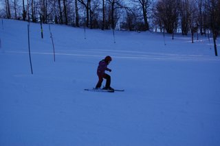 2017 Polanka