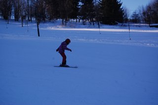 2017 Polanka