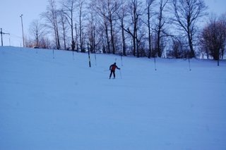 2017 Polanka