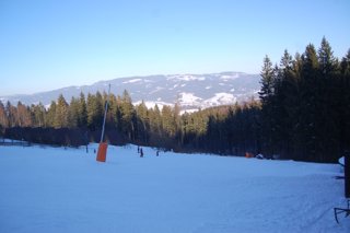 2017 Polanka