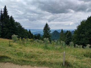 2021 Dunajec