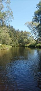 2024 Vltava
